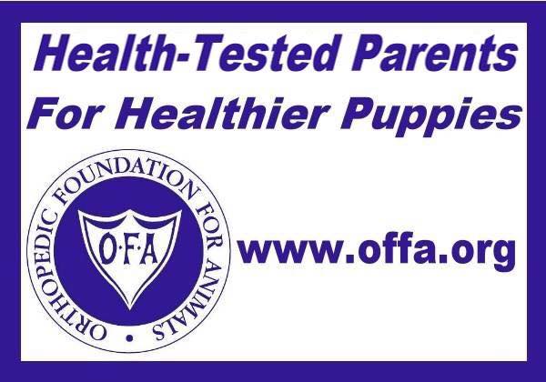 OFFA dog health testing